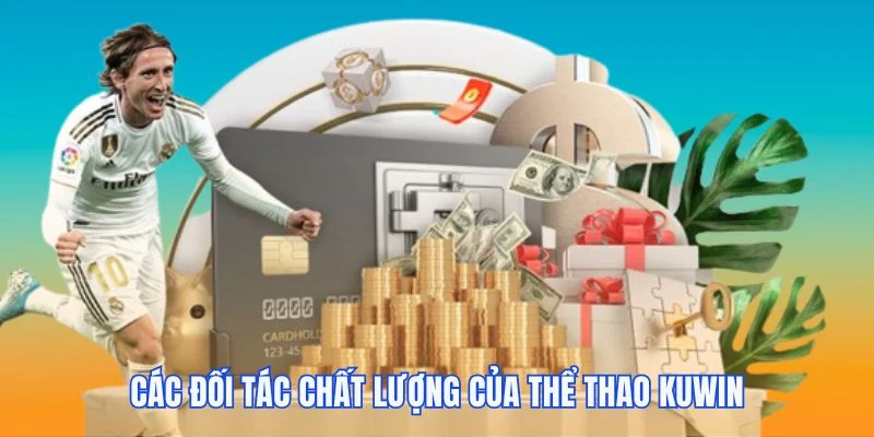 Các đối tác chất lượng của thể thao Kuwin